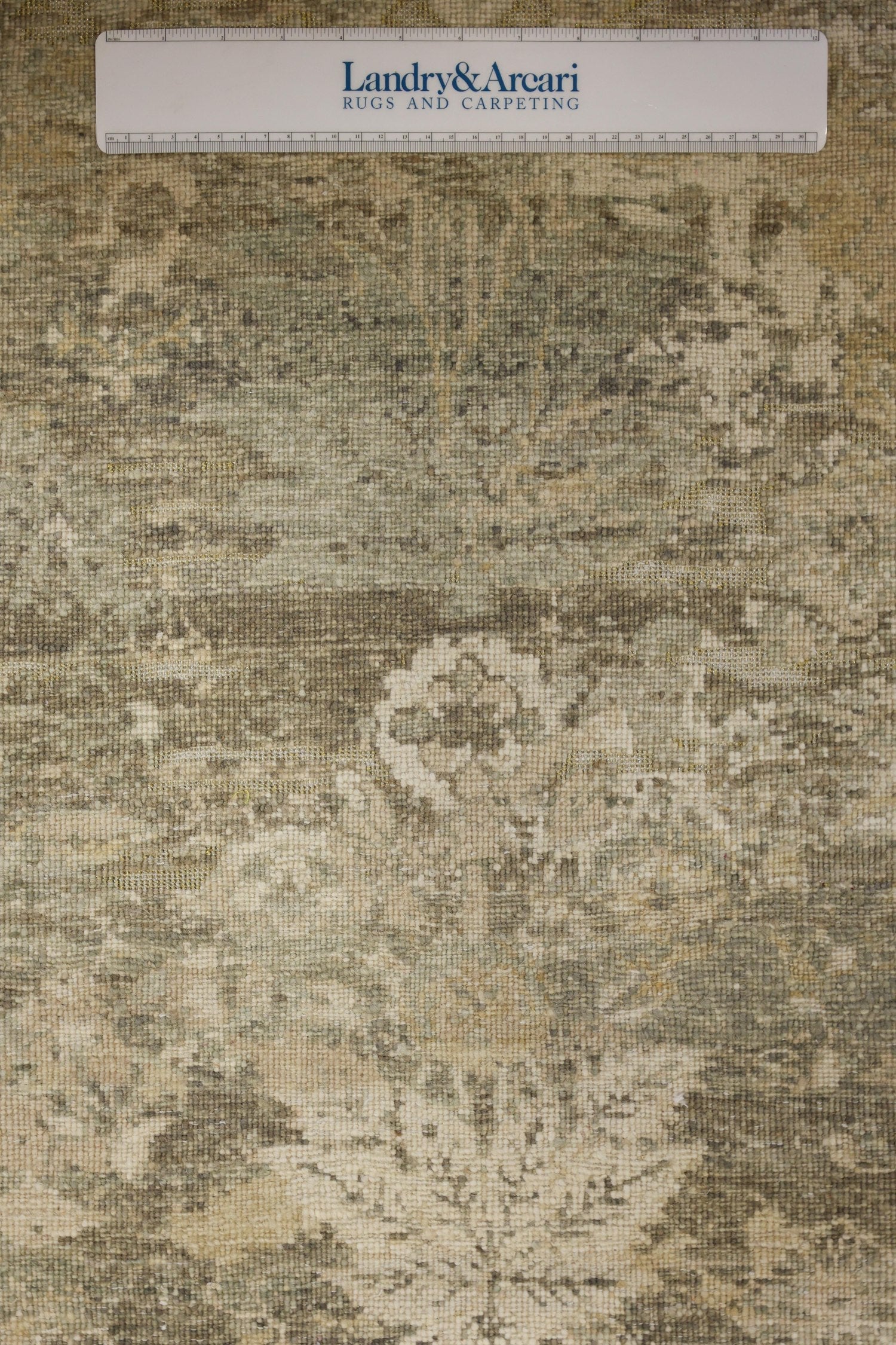 Moghul Shrub Handwoven Transitional Rug, J70297