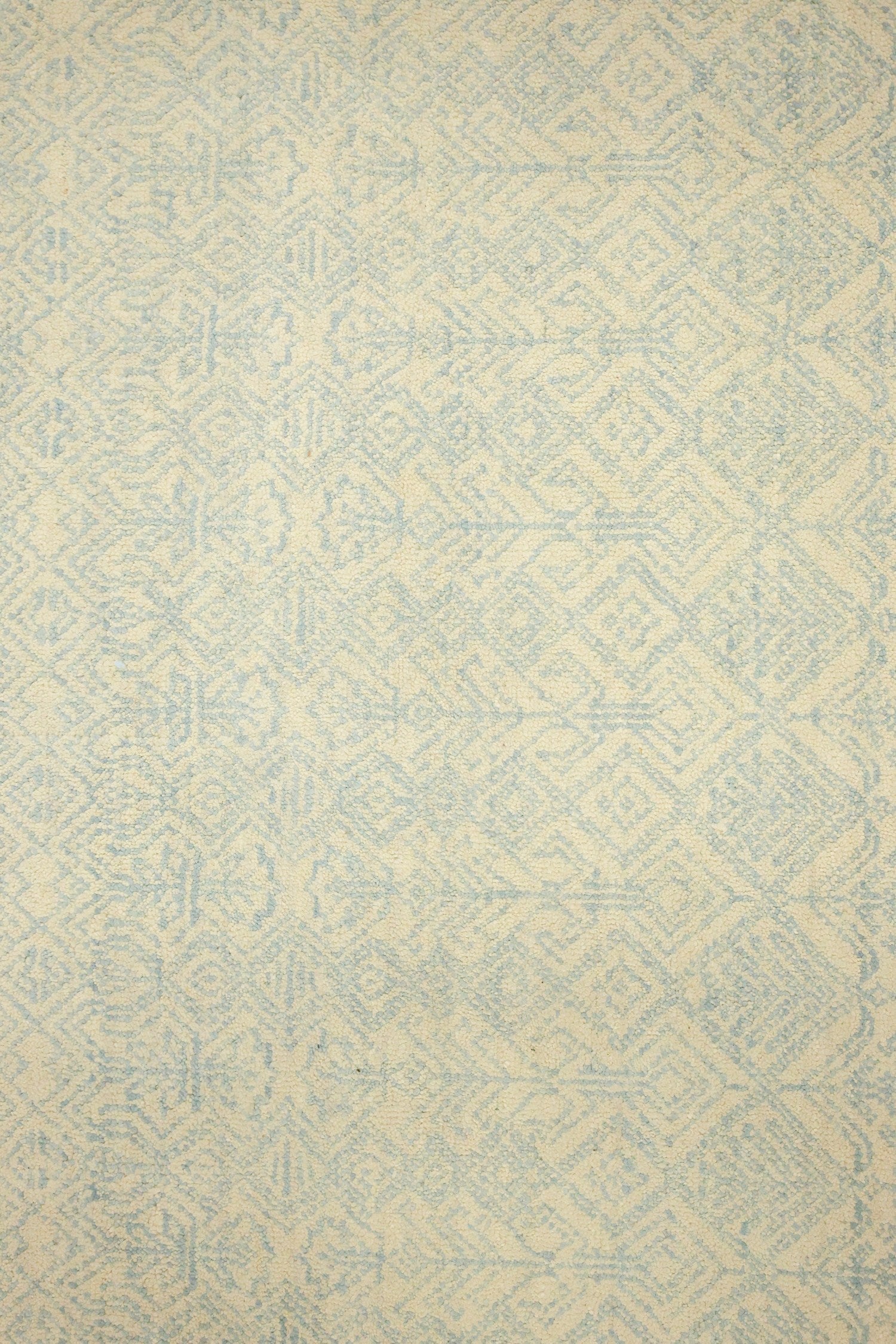 Age Handwoven Transitional Rug, J70067
