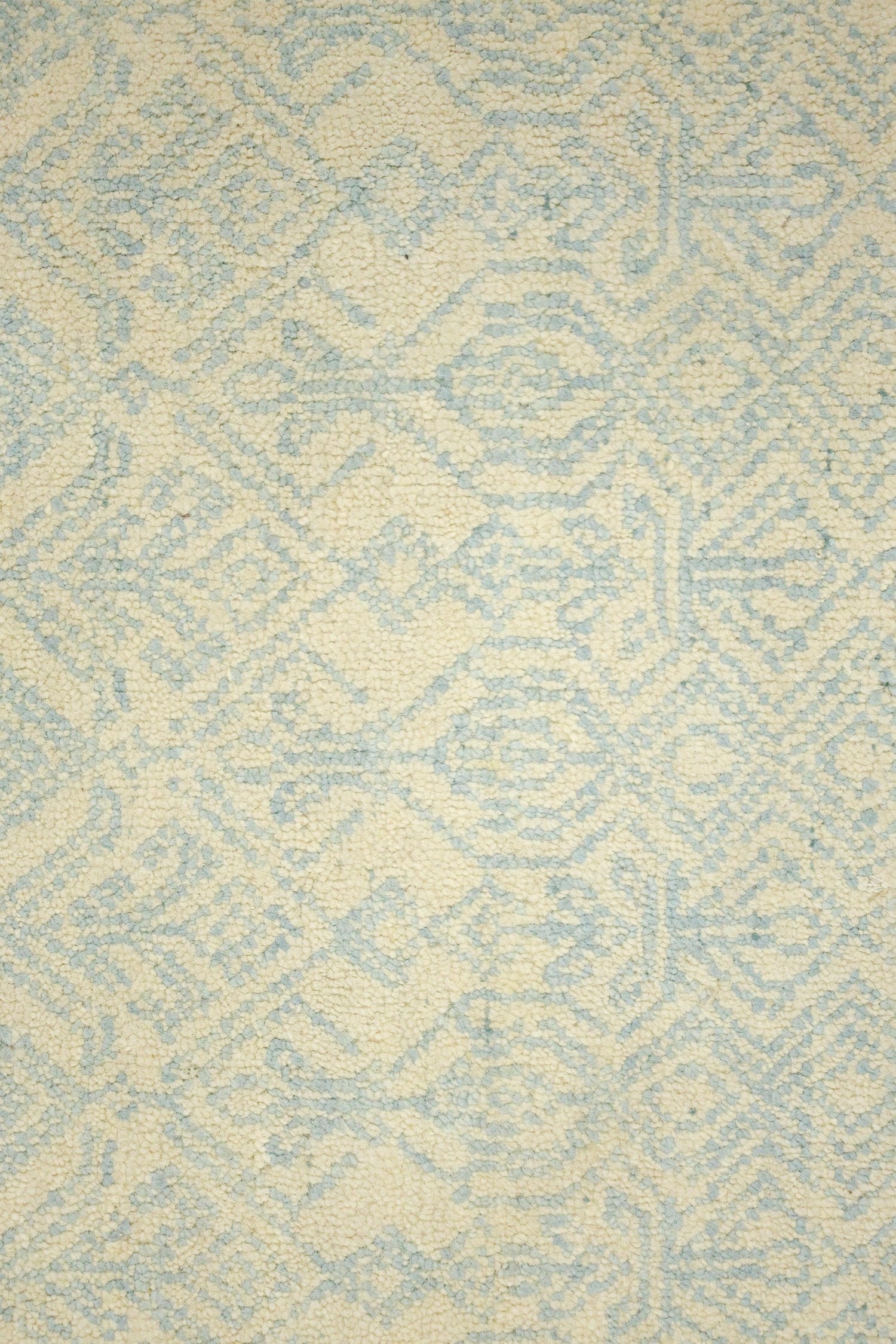 Age Handwoven Transitional Rug, J70067