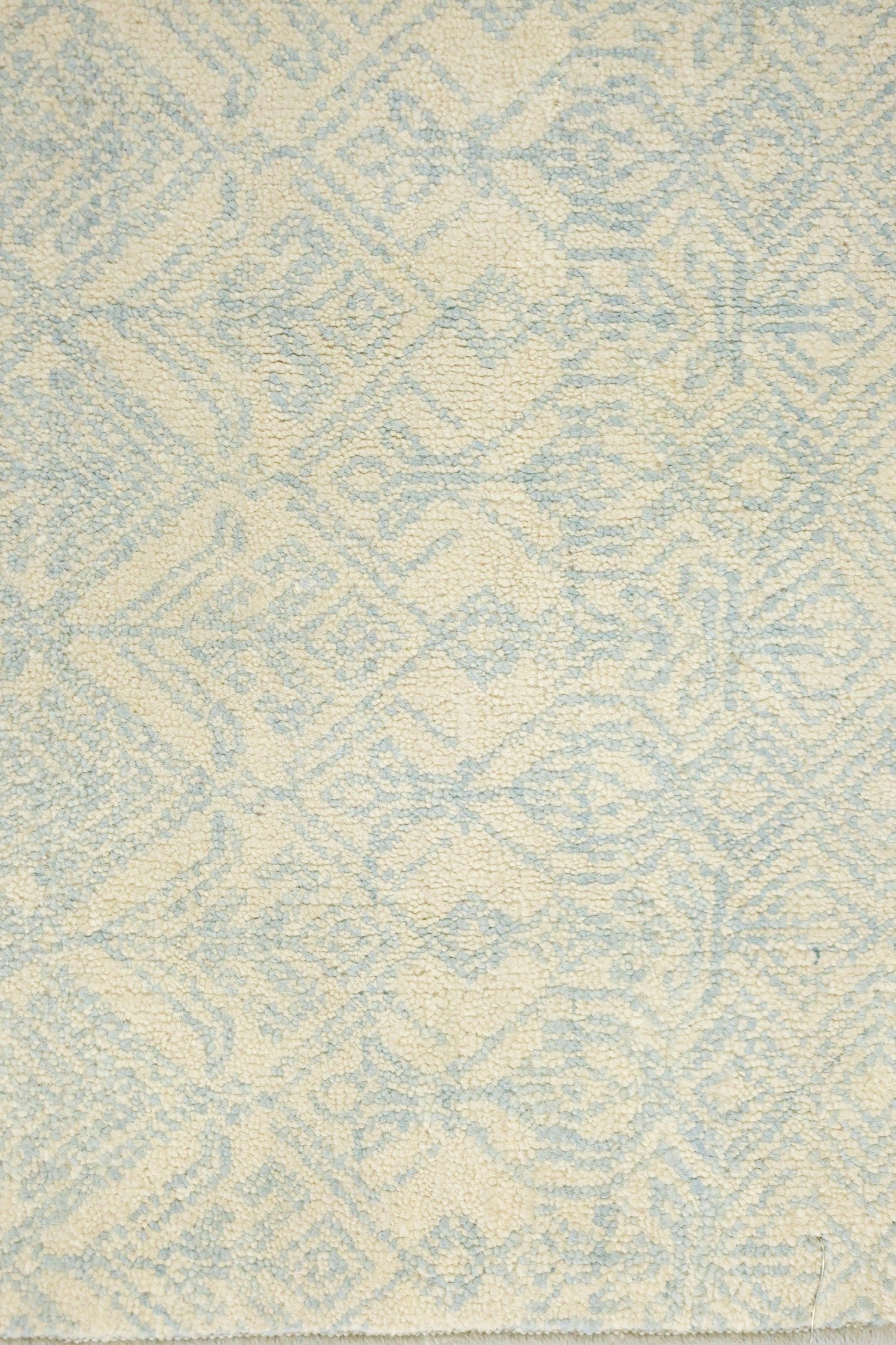 Age Handwoven Transitional Rug, J70067