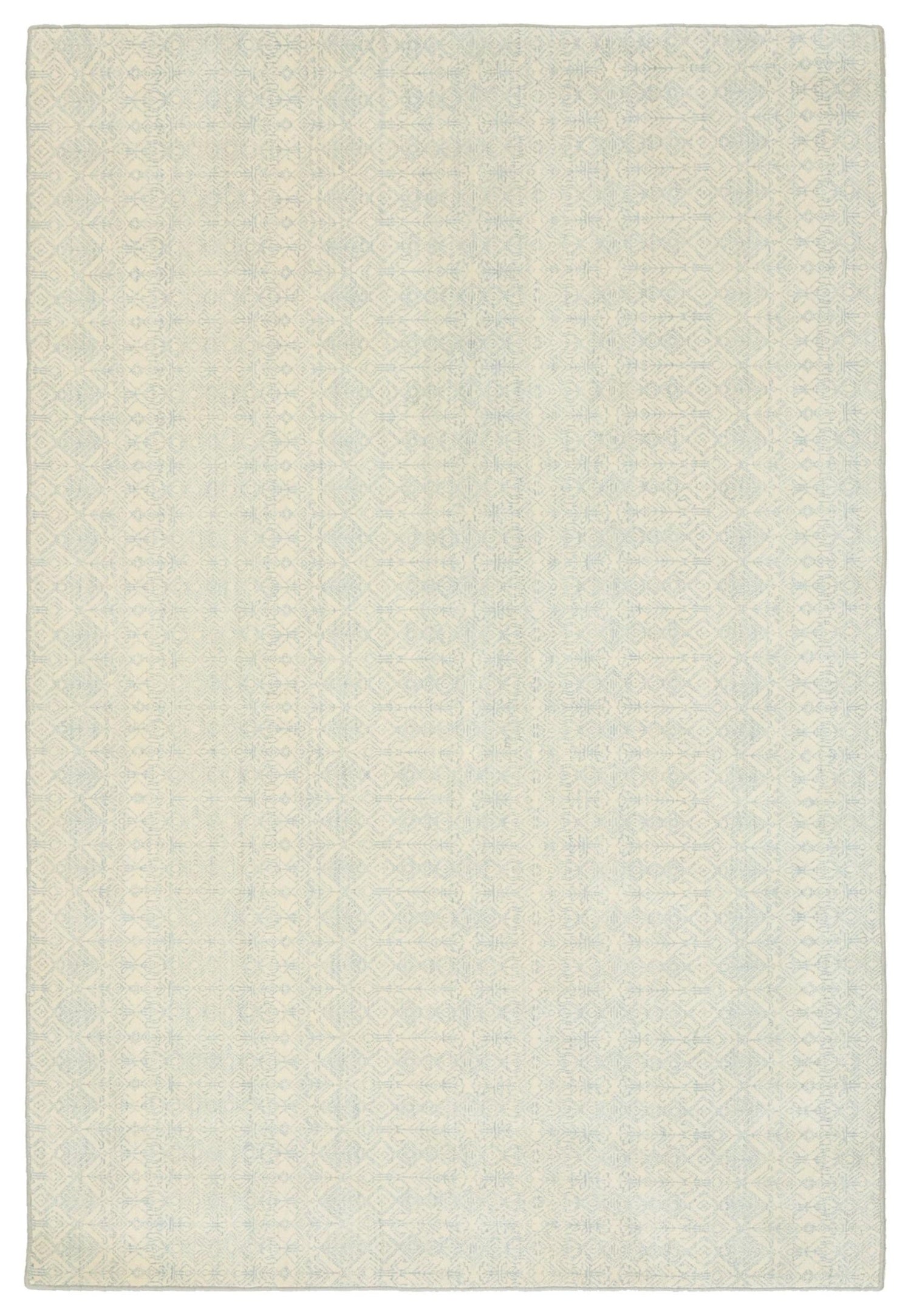 Age Handwoven Transitional Rug