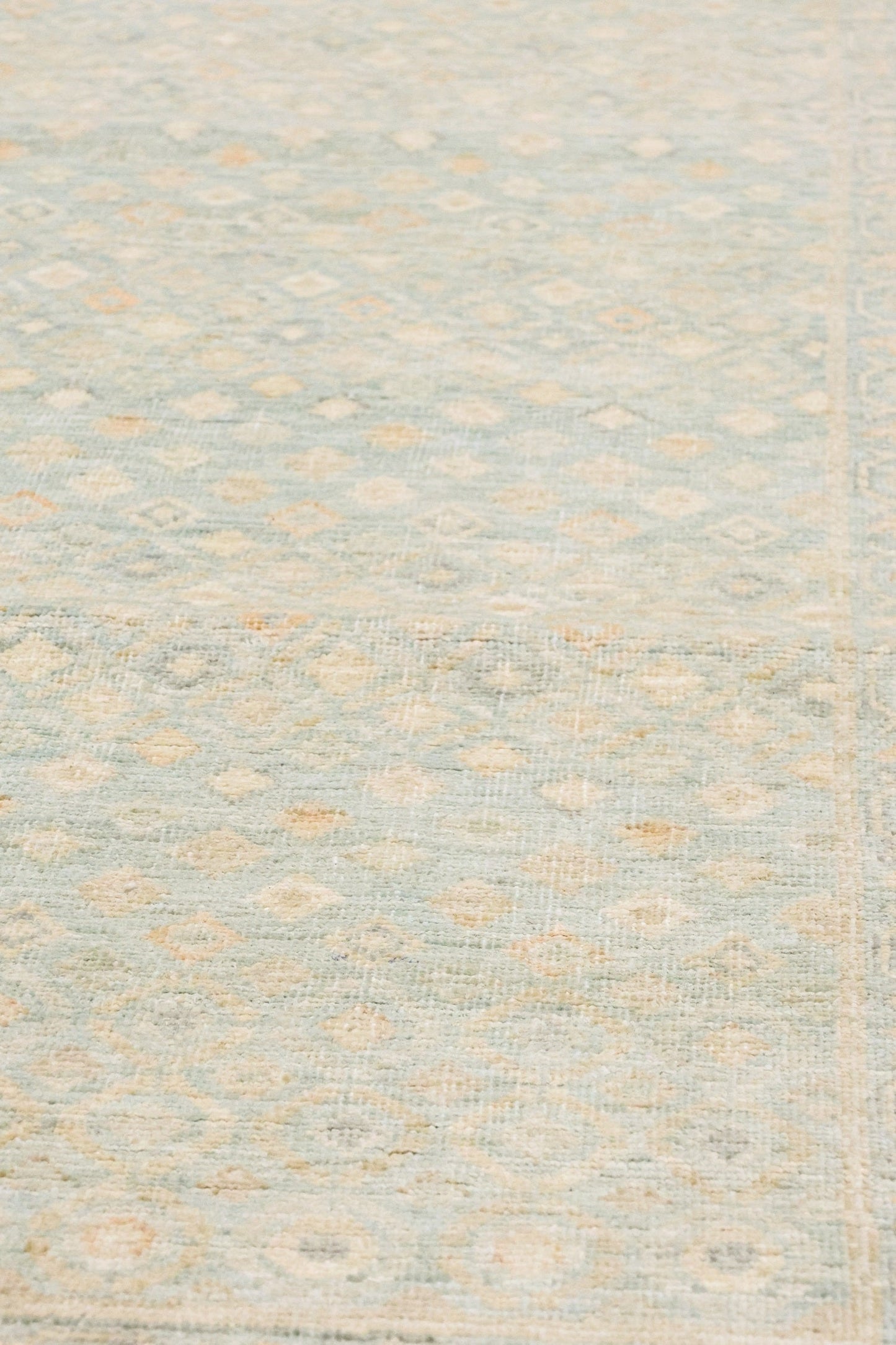 Oushak Handwoven Transitional Rug, J81413