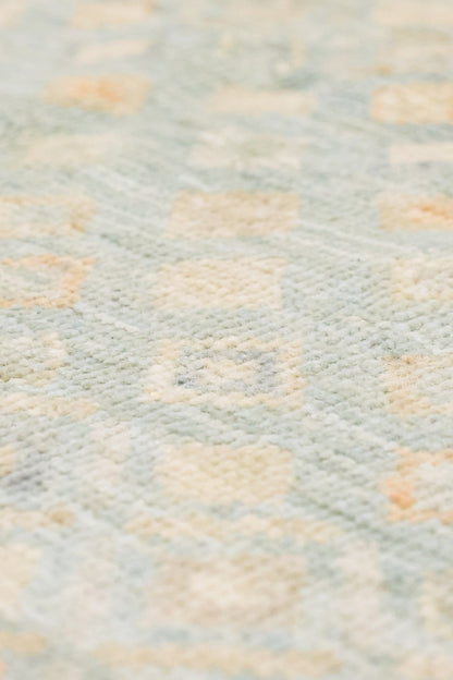 Oushak Handwoven Transitional Rug, J81413
