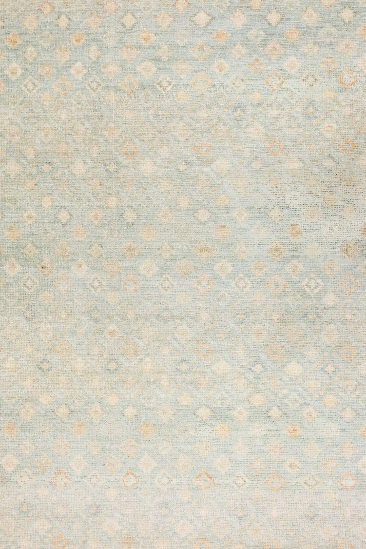 Oushak Handwoven Transitional Rug, J81413