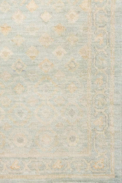 Oushak Handwoven Transitional Rug, J81413