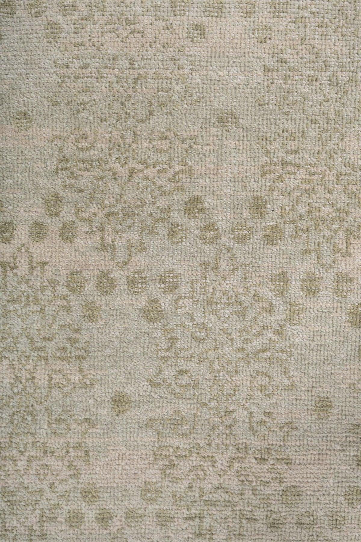 Parchment Vine Handwoven Transitional Rug, J87574