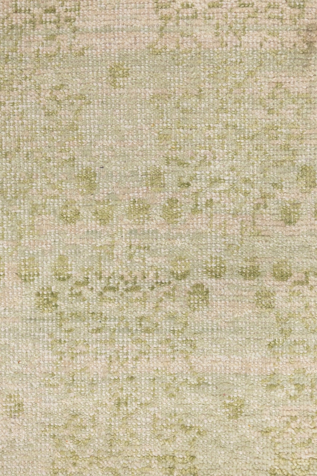Parchment Vine Handwoven Transitional Rug, J87574