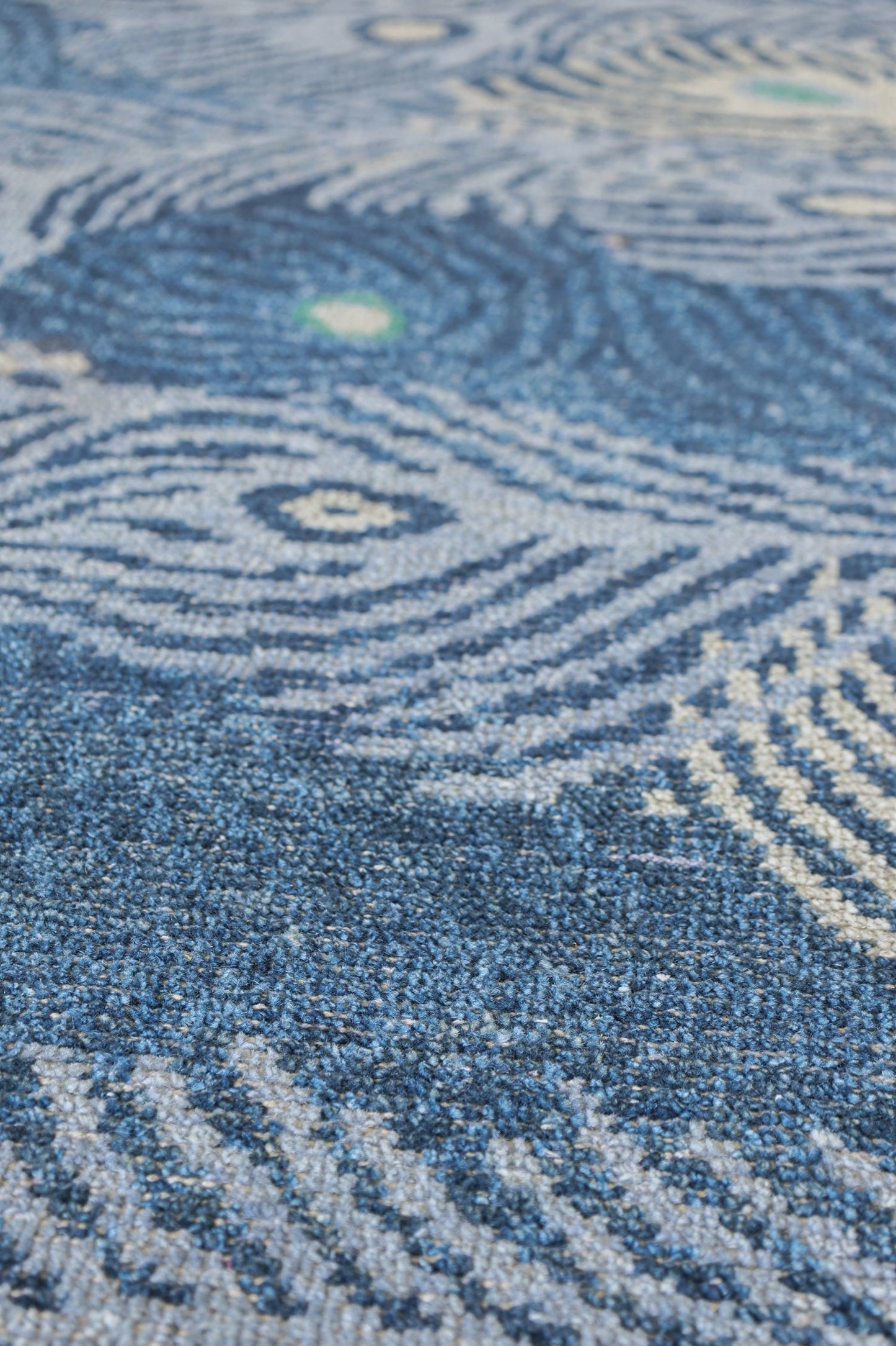 Peacock Feather Handwoven Transitional Rug, J79986