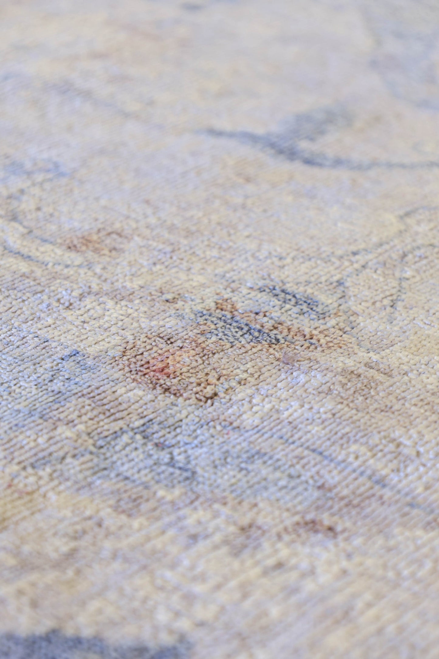 Polonaise Handwoven Transitional Rug, 83063
