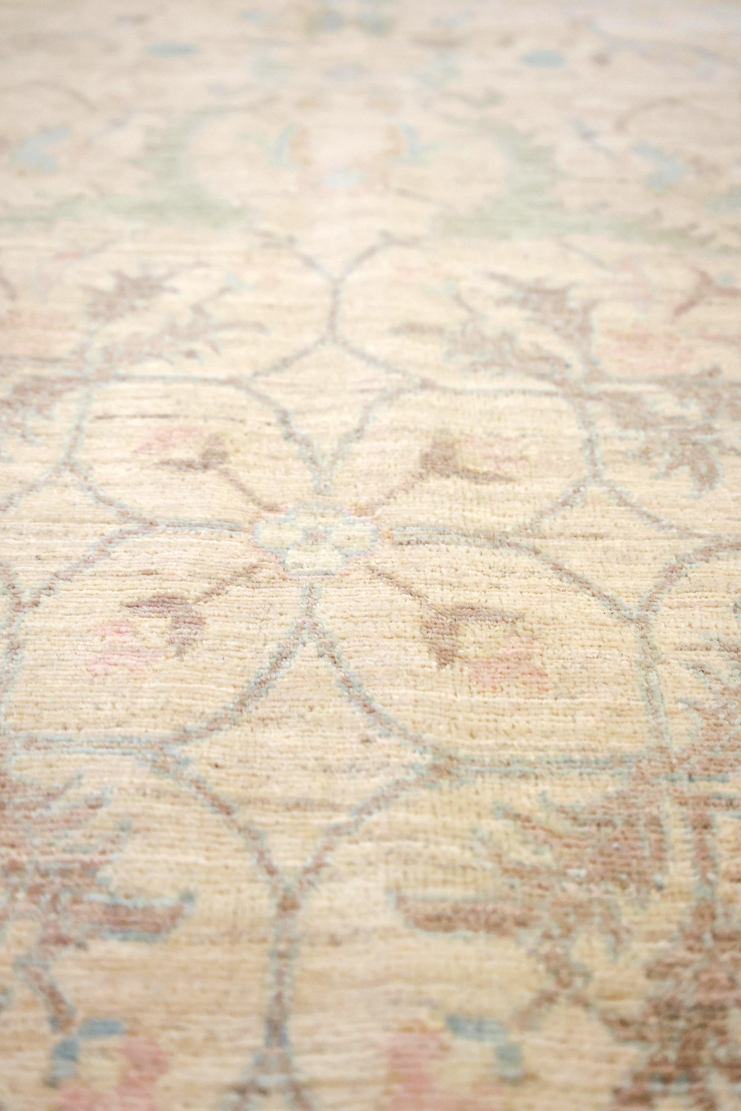 Polonaise Handwoven Transitional Rug, J70132