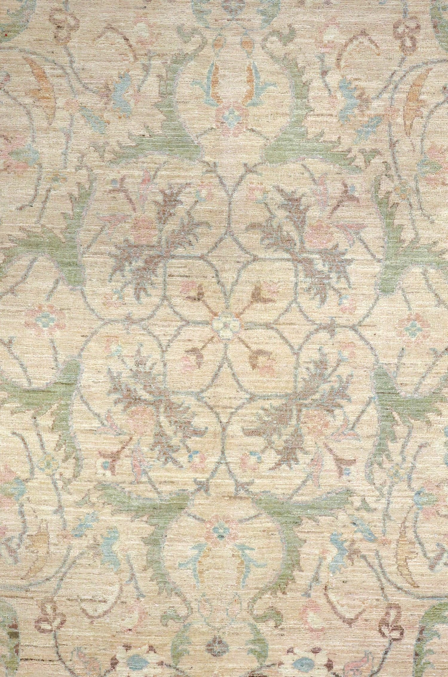 Polonaise Handwoven Transitional Rug, J70132