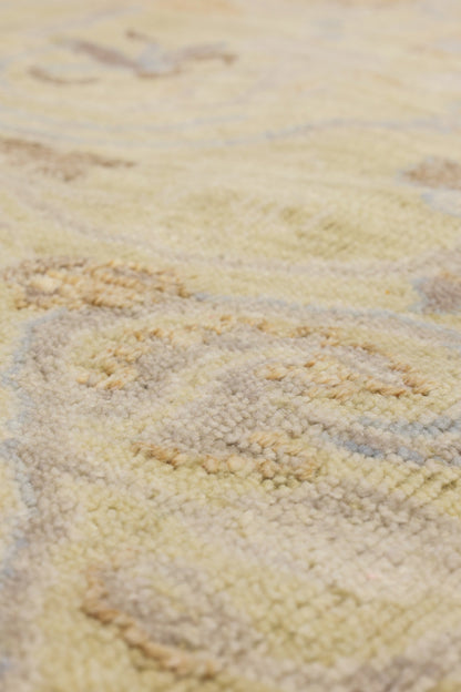 Quencia Handwoven Transitional Rug, J80929