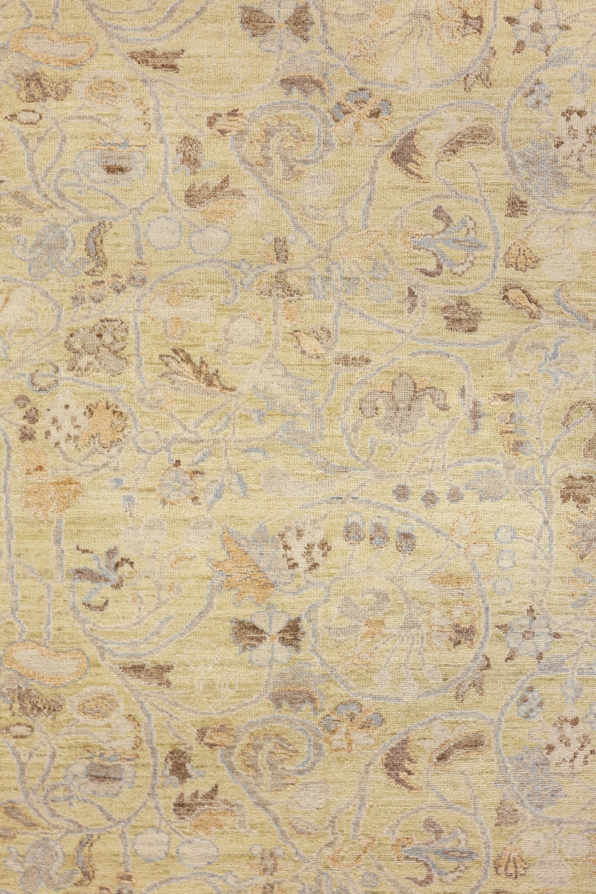 Quencia Handwoven Transitional Rug, J80929