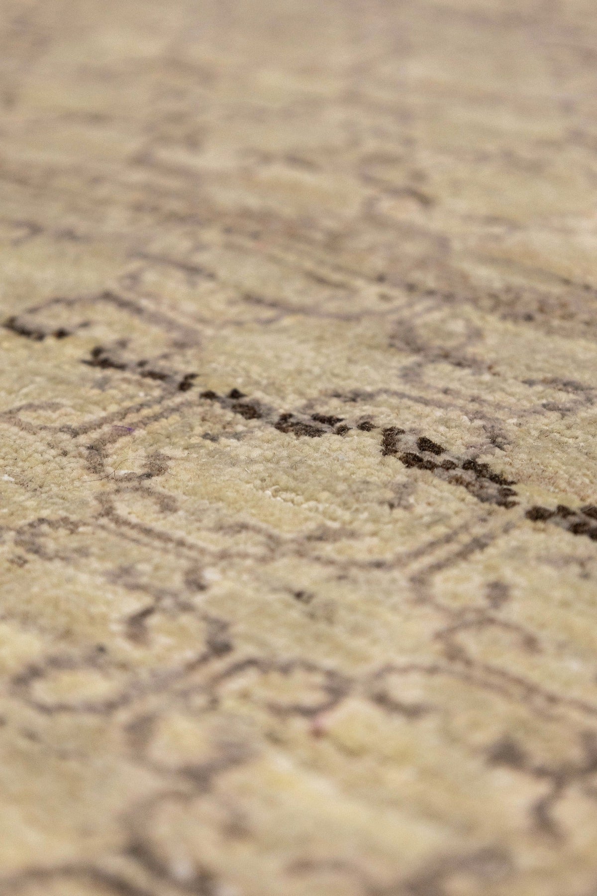 Samarkand Cloud Handwoven Transitional Rug, J86657