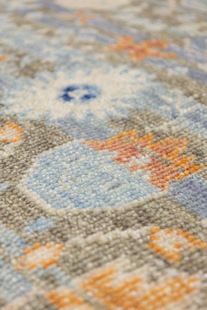 Samarkand Handwoven Transitional Rug, J88879