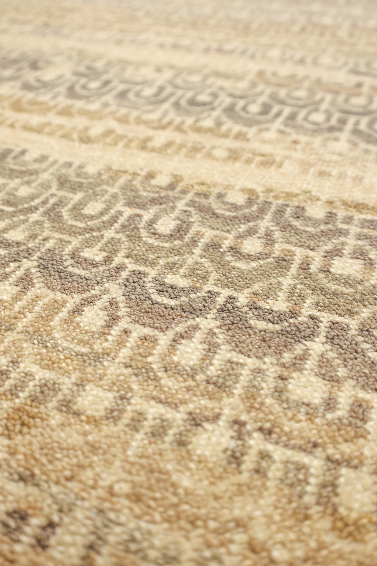 Senna Flower Handwoven Transitional Rug, J77084