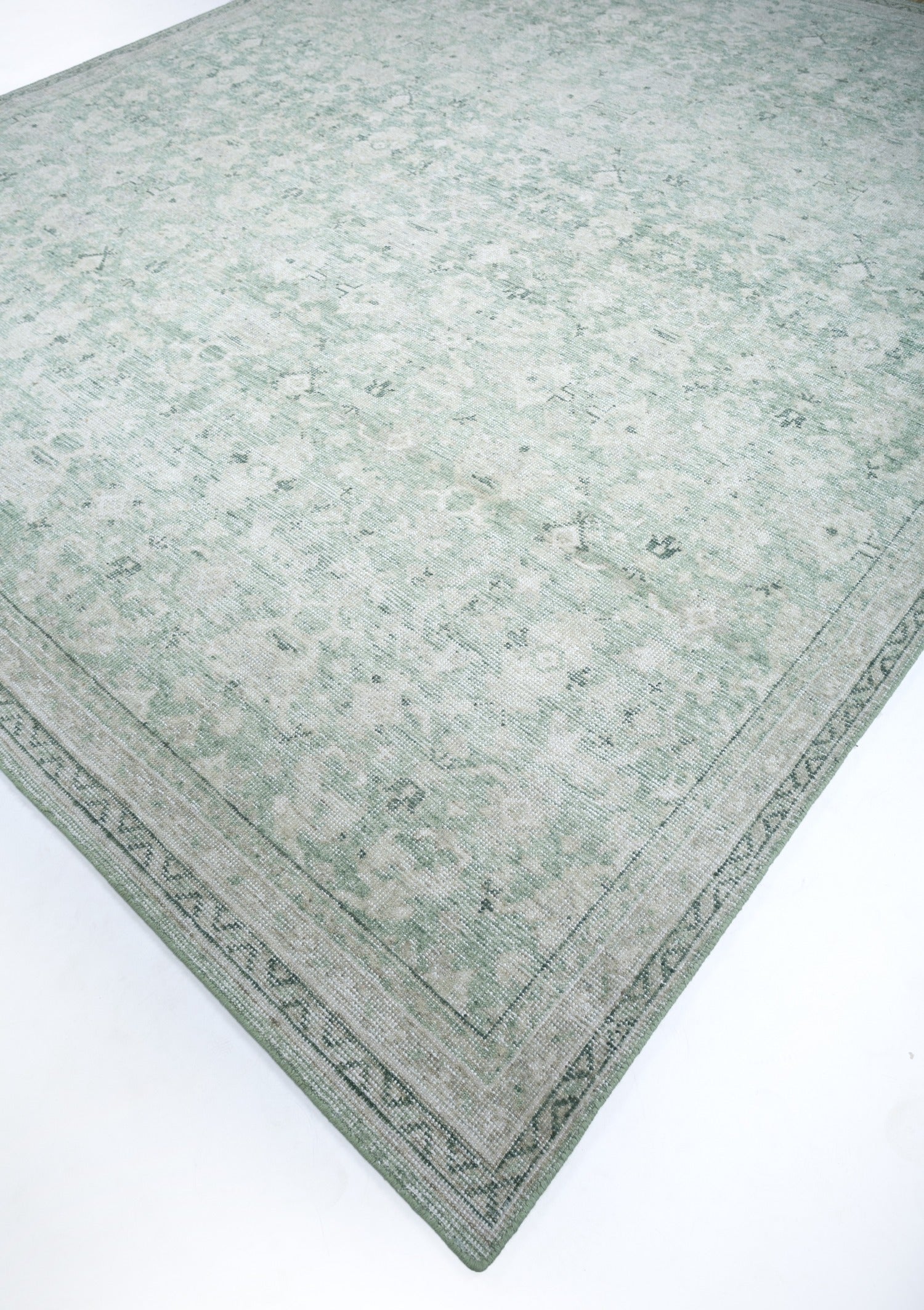 Sultanabad Handwoven Transitional Rug, J70208
