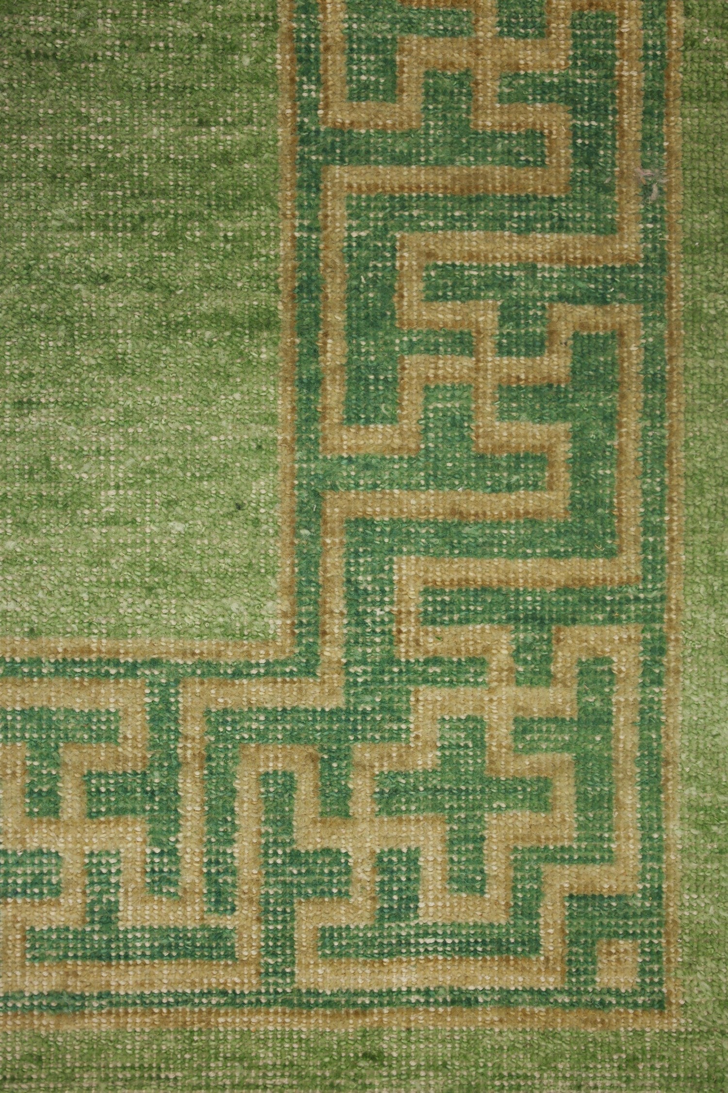 Tiger Style Handwoven Transitional Rug, J72992