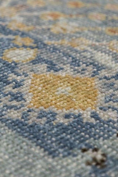 Willow Handwoven Transitional Rug, J87569