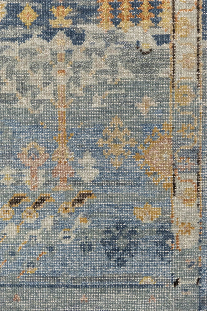 Willow Handwoven Transitional Rug, J87569