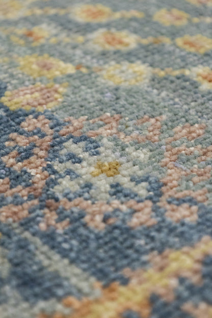 Willow Handwoven Transitional Rug, J87577