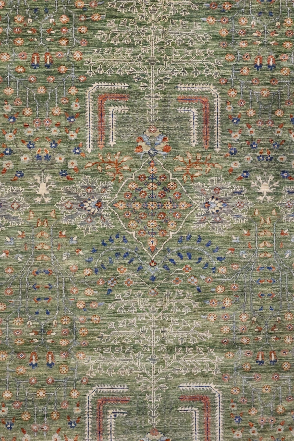 Bakshaish Willow Handwoven Tribal Rug, J81346