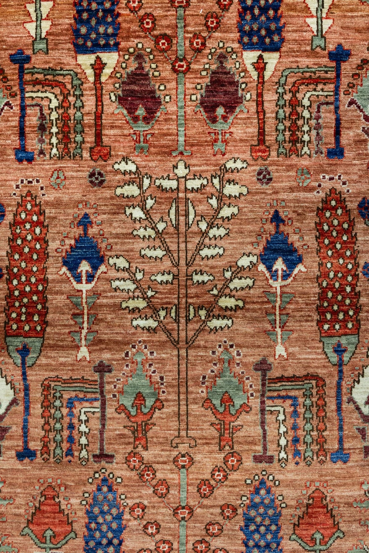 Bakshaish Willow Handwoven Tribal Rug, J86063