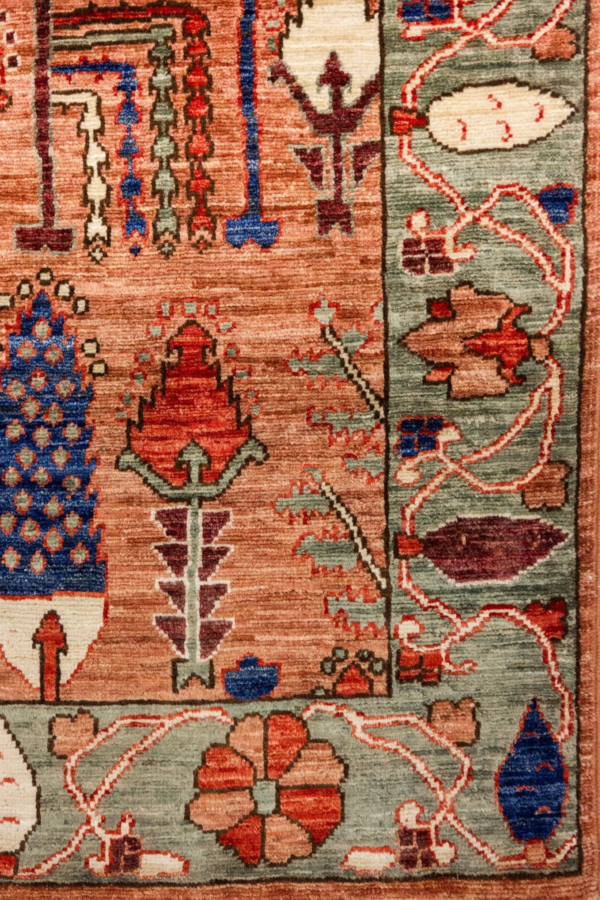 Bakshaish Willow Handwoven Tribal Rug, J86063