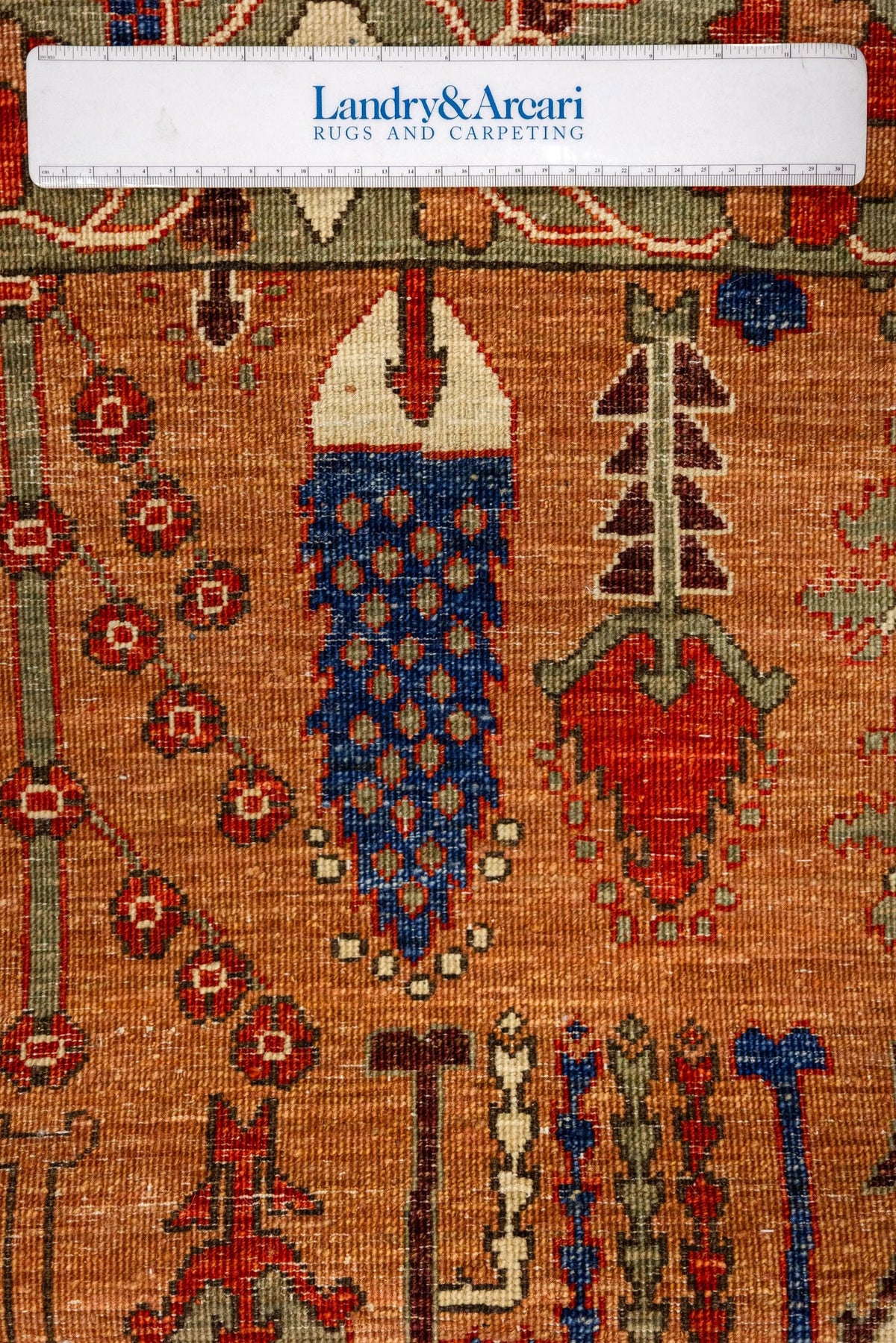 Bakshaish Willow Handwoven Tribal Rug, J86063