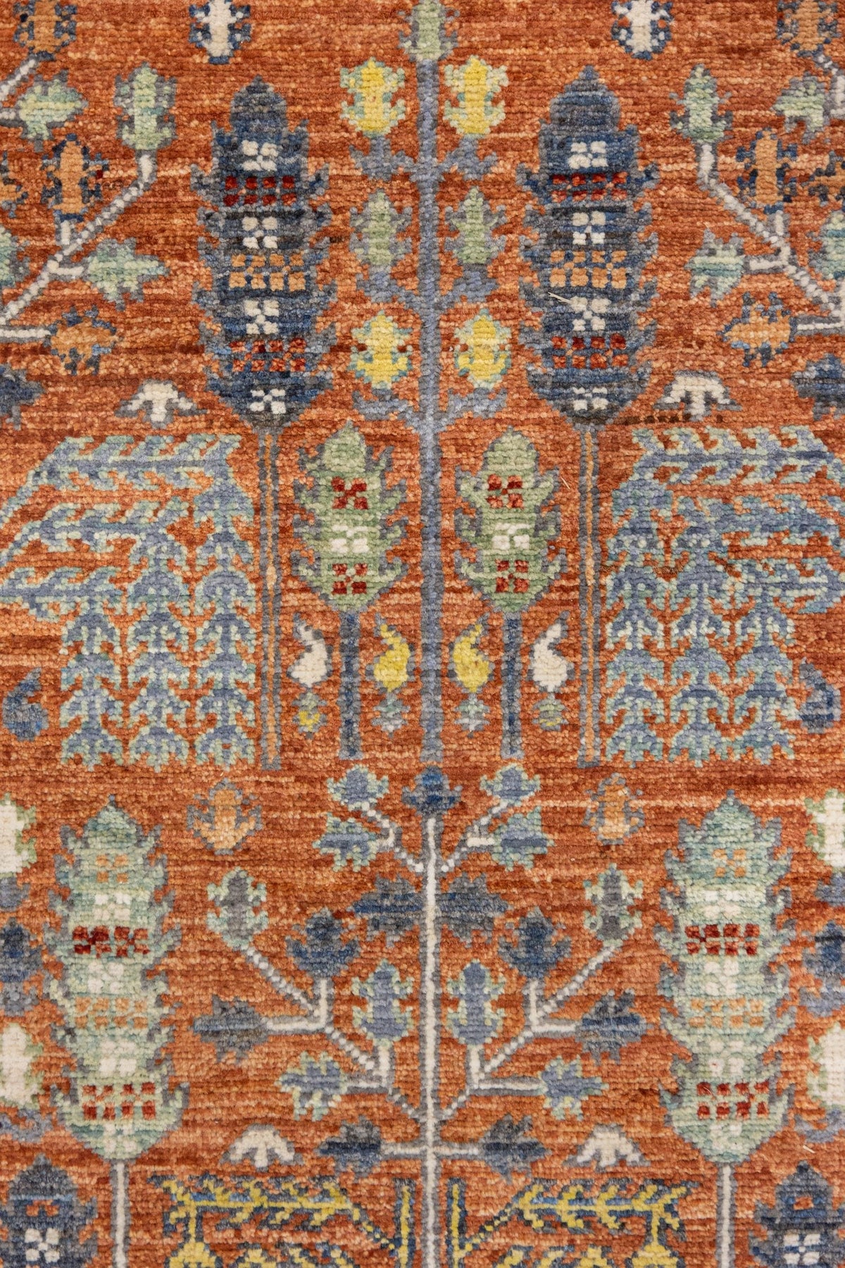 Bakshaish Willow Handwoven Tribal Rug, J89333
