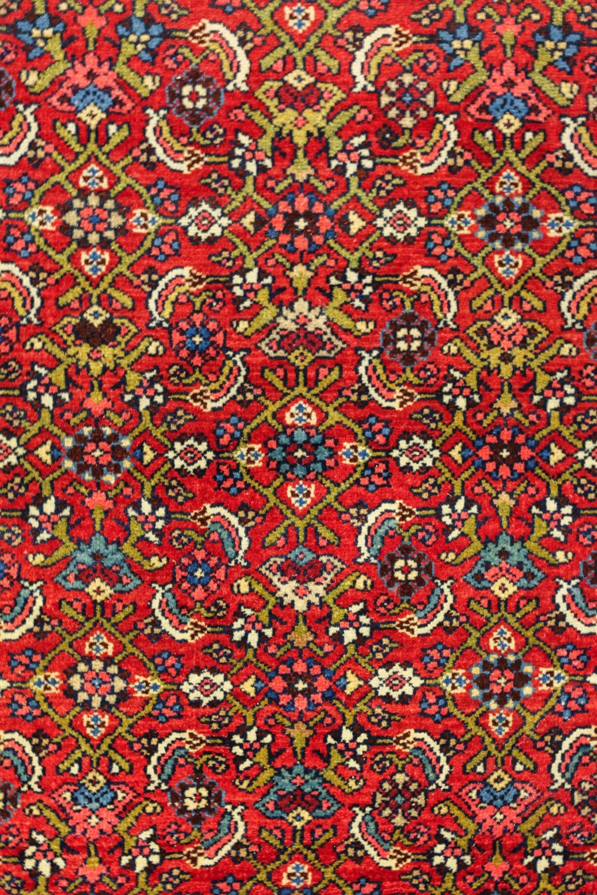 Antique Bijar Handwoven Tribal Rug, JF8763