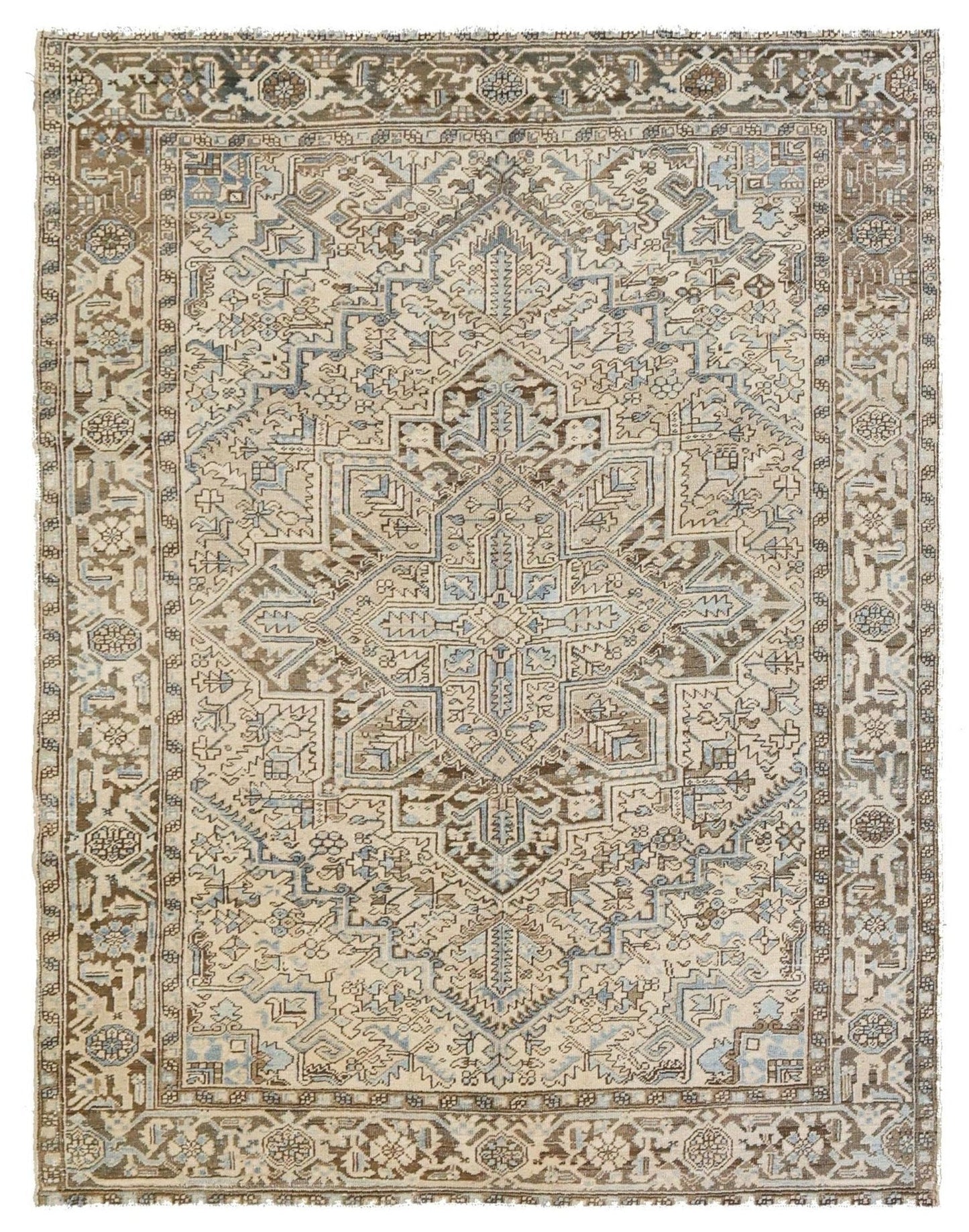 Vintage Heriz Handwoven Tribal Rug