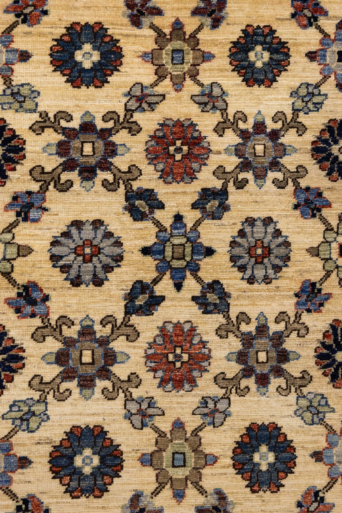 Mina Khani Handwoven Tribal Rug, J86216