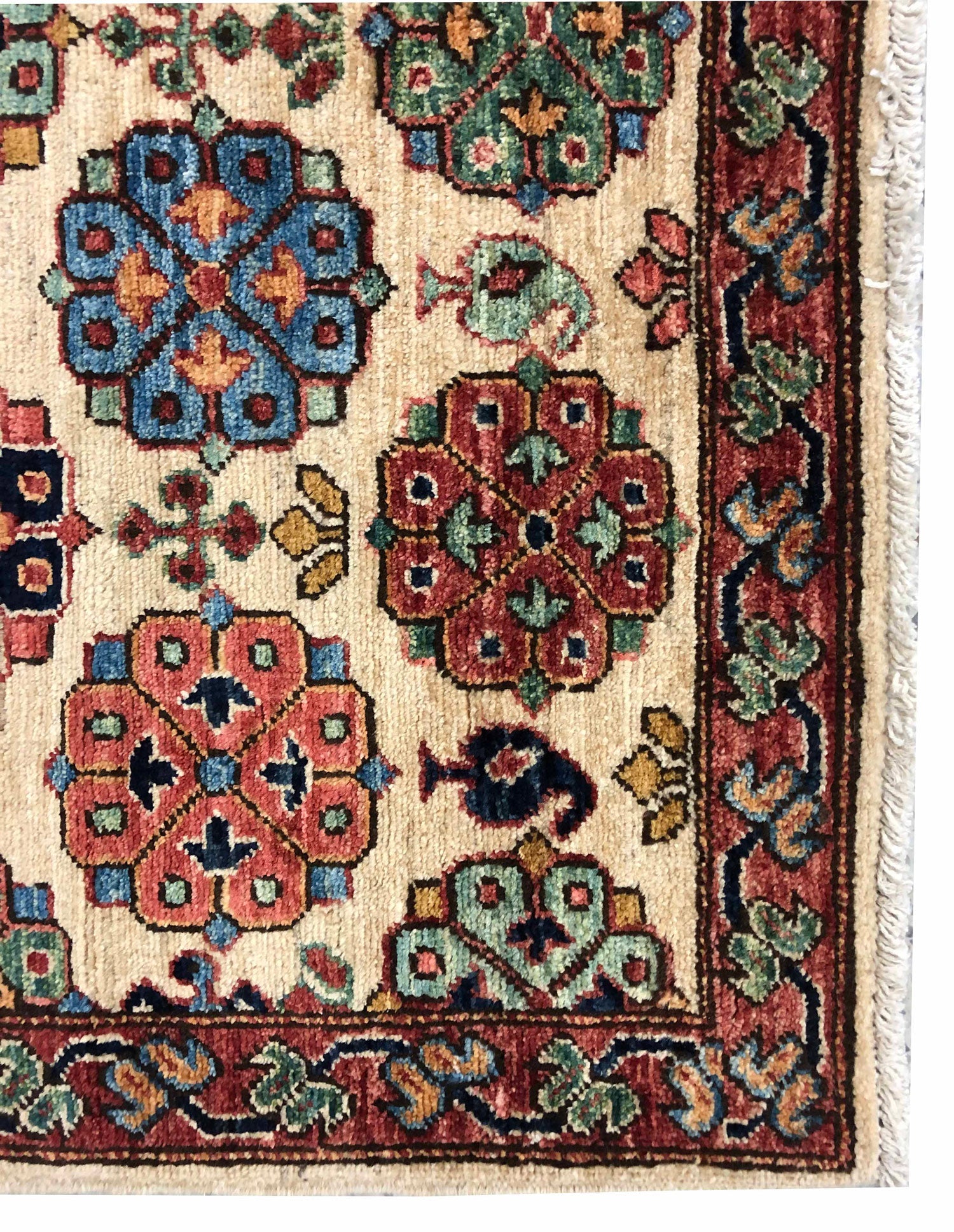 Khotan Garden Handwoven Traditional Rug, J64366