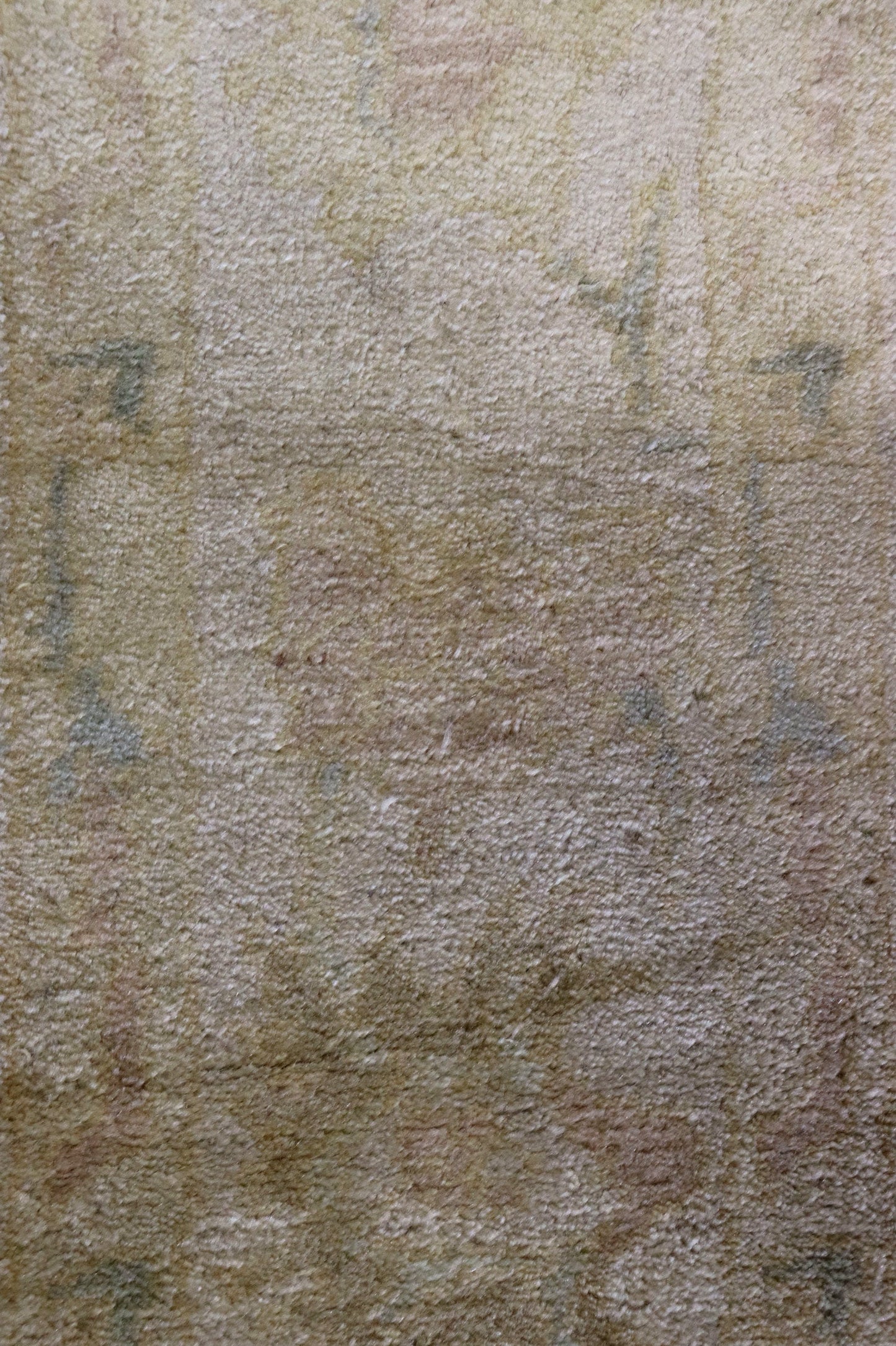 Mahal Handwoven Traditional Rug, 70151