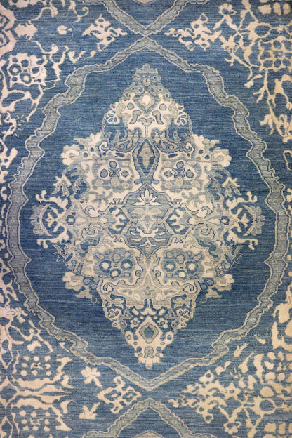 Feraghan Handwoven Transitional Rug, J65422