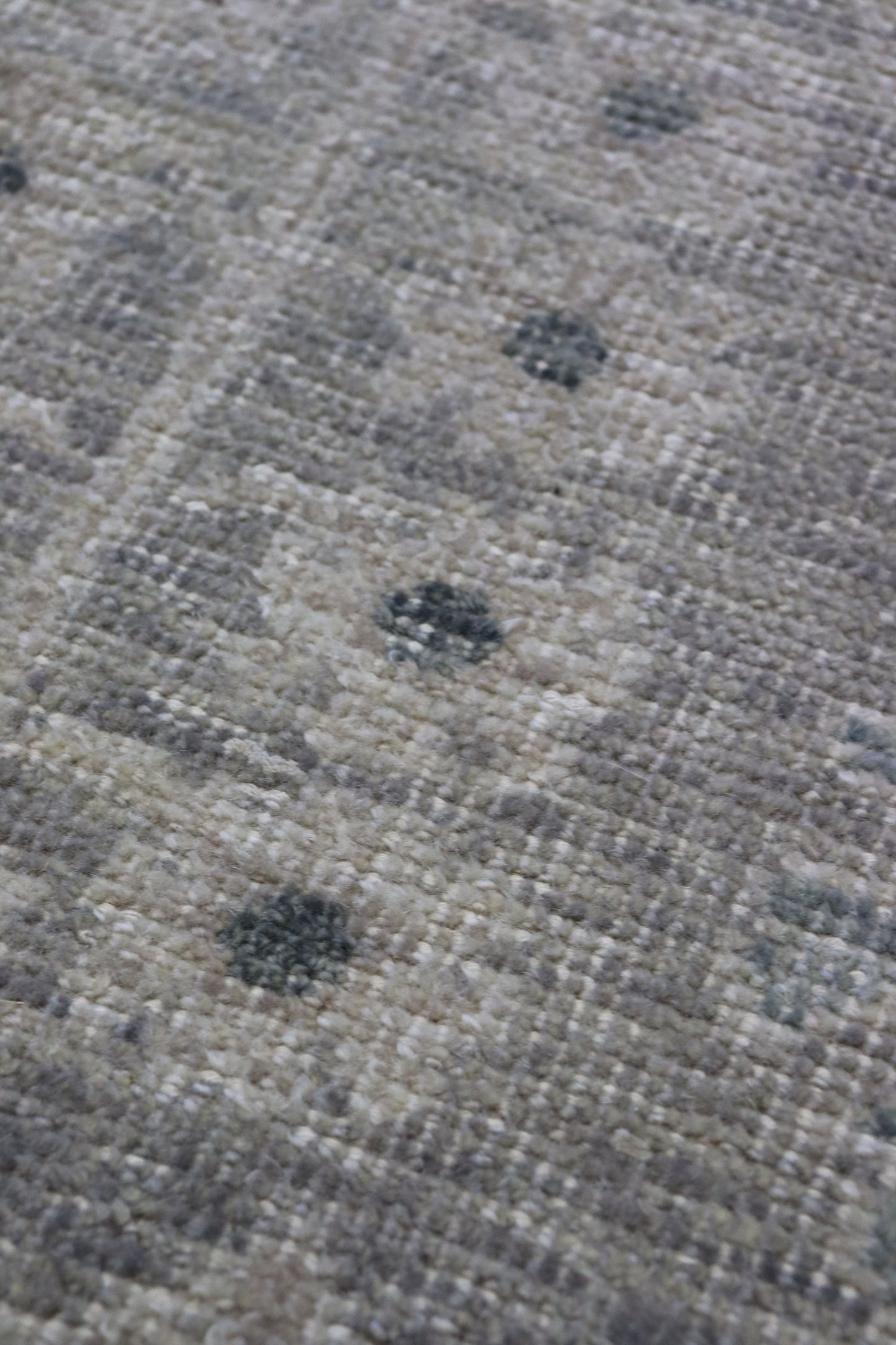 Ferahan Handwoven Transitional Rug, J66300