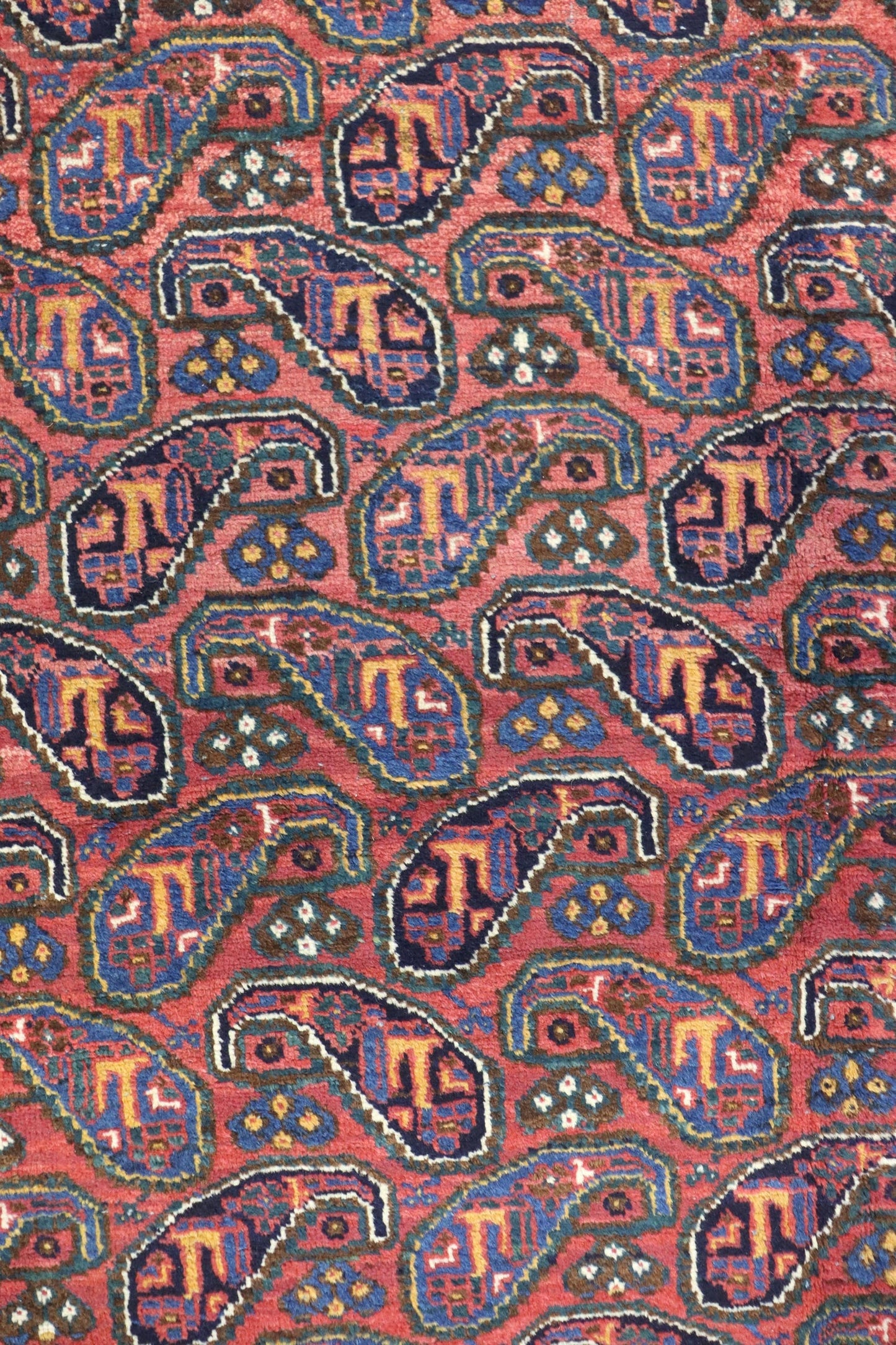 Close-up of antique Afshar rug's handwoven, red paisley pattern with blue, gold, and green details.
